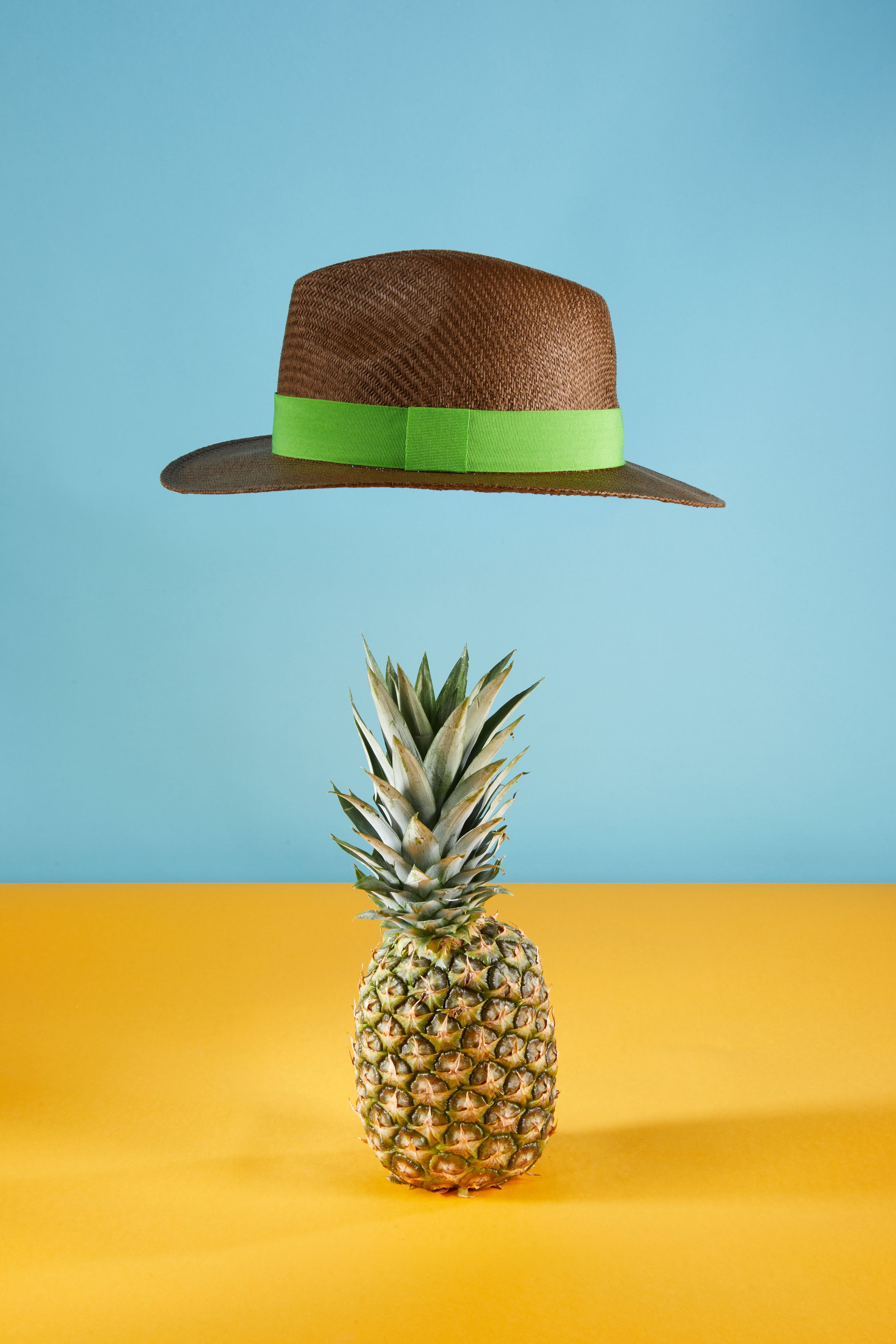 Traveller Hat